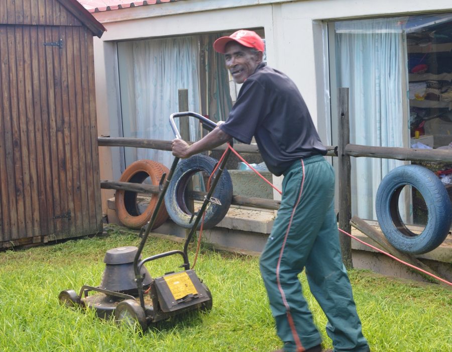 Gardening and Maintenance Work